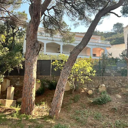Hagen Apartamento Rosas